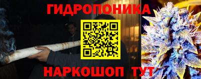ГАЛЛЮЦИНОГЕННЫЕ ГРИБЫ Краснокаменск