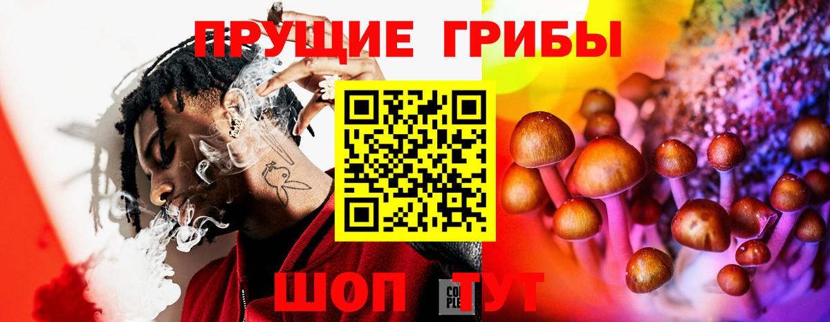 Галлюциногенные грибы Psilocybine cubensis Котельники