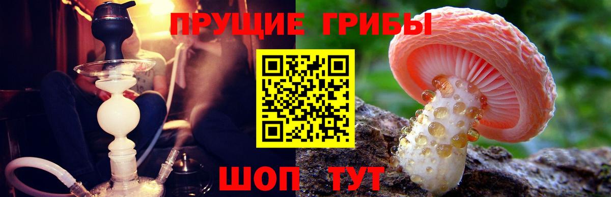 Галлюциногенные грибы Psilocybe  Вход с VPN  Котельники 